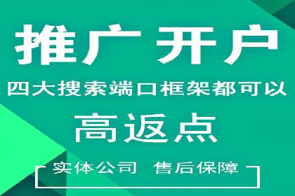 成功案例：百度推广返点的实际效果